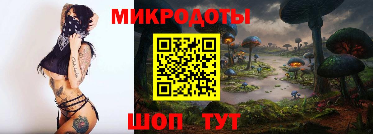 Галлюциногенные грибы Psilocybine cubensis  Вход с VPN  Владивосток 